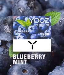 Yooz – Blueberry Mint