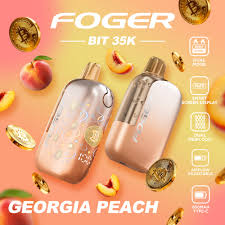Georgia Peach – Foger Bit 35K Disposable Vape