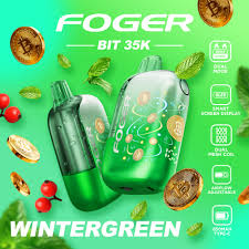 Wintergreen – Foger Bit 35K Disposable Vape